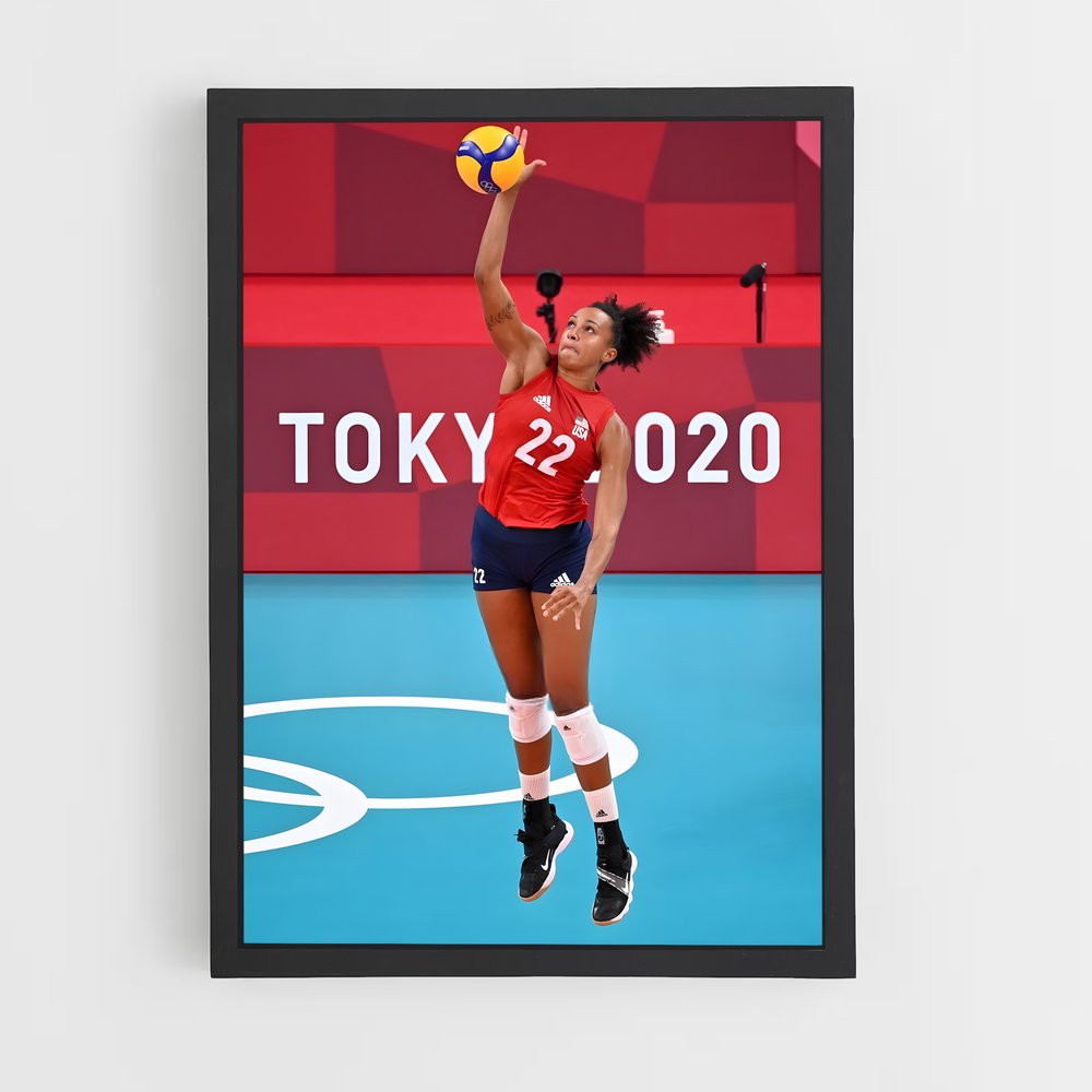 Poster Volleyball de world (vue 2)